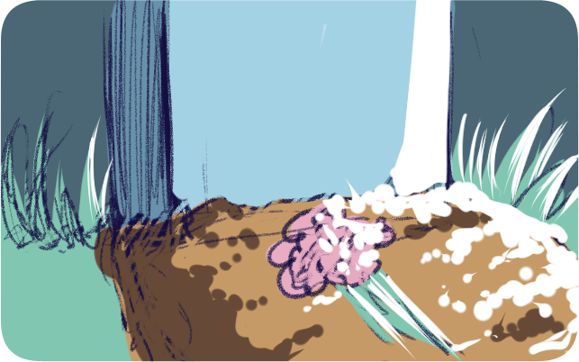 page img