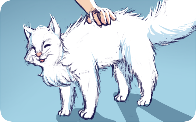 page img